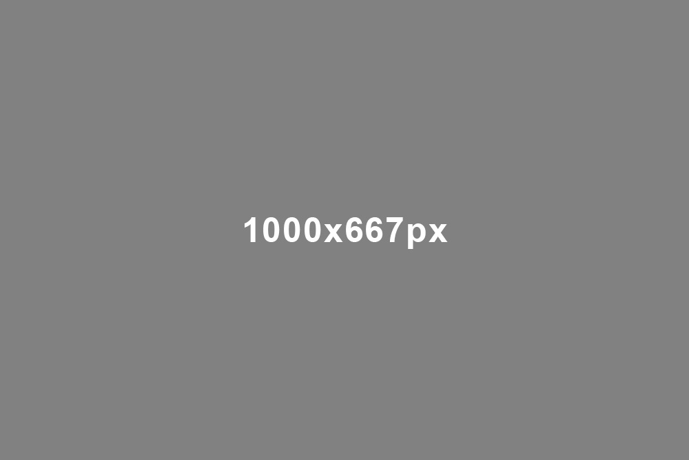 1000x667